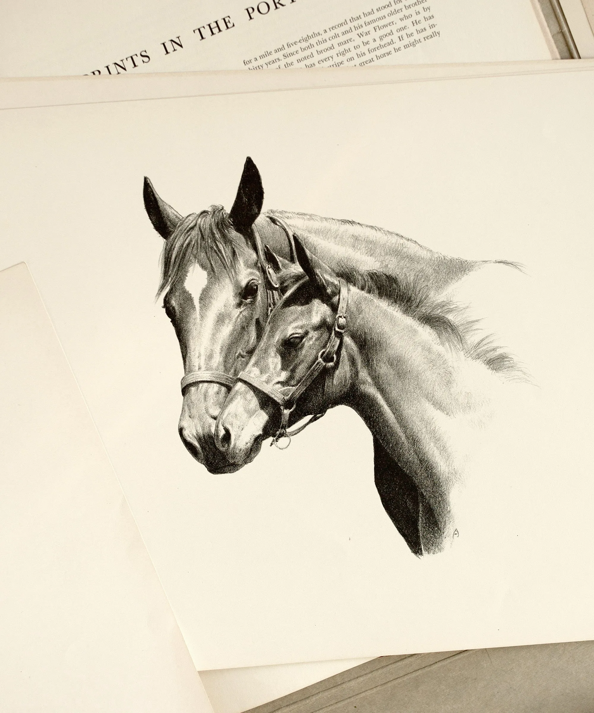 Turf and Bluegrass Print Portfolio